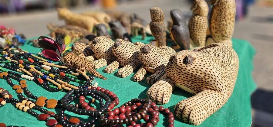O evento tem como prop&oacute;sito ampliar a visibilidade das culturas ind&iacute;genas, especialmente da etnia Mby&aacute; Guarani
