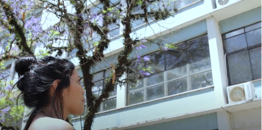 Curta &ldquo;A Universidade que se quer: territ&oacute;rio do bem viver!&rdquo; (2021) ser&aacute; exibido na sess&atilde;o de curtas-metragens da mostra "Ind&iacute;genas e Resist&ecirc;ncia", nesta quarta, 30, &agrave;s 16h