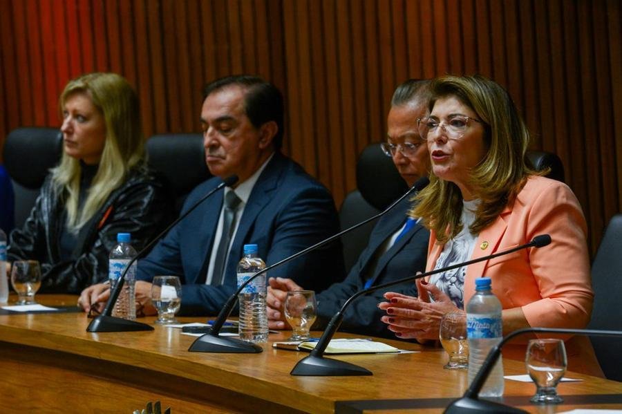 Evento foi promovido pela frente parlamentar de Combate &agrave; Pedofilia e &agrave; Viol&ecirc;ncia Infantojuvenil, presidida pela deputada estadual Adriana Lara