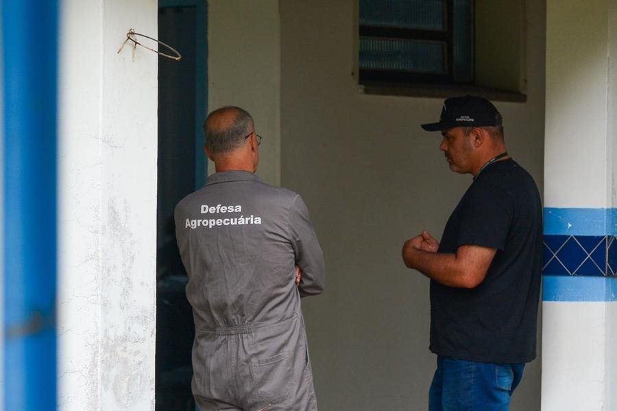 Uma das apura&ccedil;&otilde;es ocorre em Est&acirc;ncia Velha, no Rio Grande do Sul
