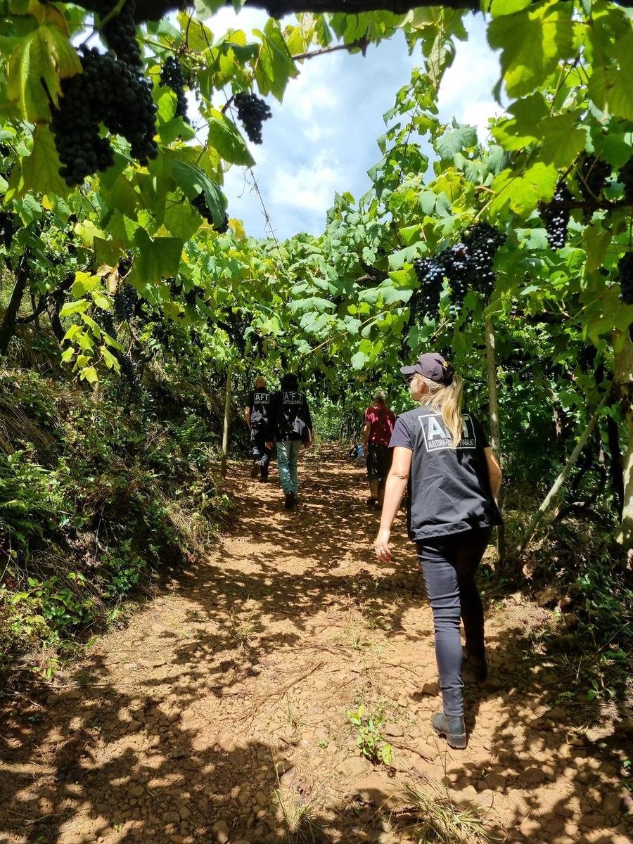 Apesar do avan&ccedil;o, 31 trabalhadores ainda foram resgatados em condi&ccedil;&otilde;es an&aacute;logas &agrave; escravid&atilde;o em 2025