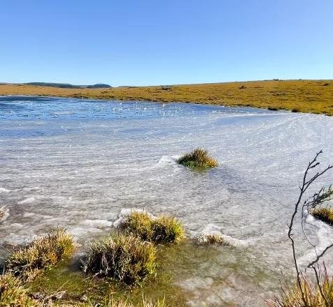 A&ccedil;ude congelou com a baixa temperatura de ontem em S&atilde;o Jos&eacute; dos Ausentes, cidade que fica na regi&atilde;o dos Campos de Cima da Serra
