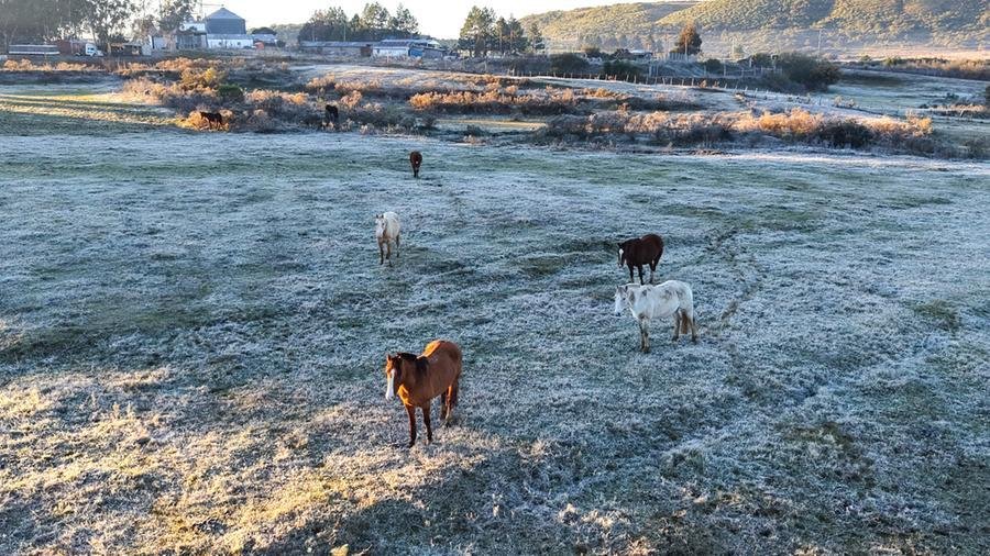 Frio foi mais intenso na madrugada deste s&aacute;bado em cidades da Metade Sul ga&uacute;cha