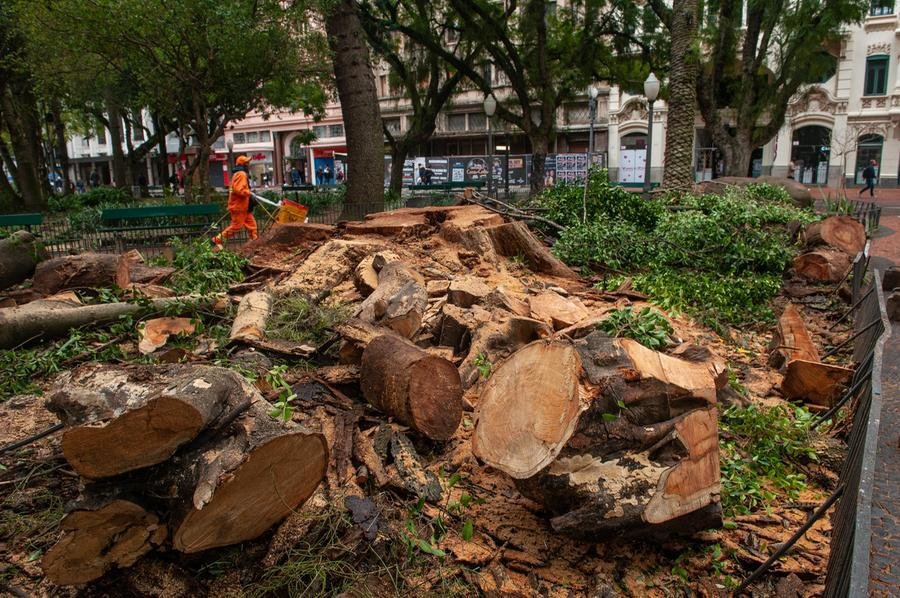 Manejo de &aacute;rvores na Pra&ccedil;a de Alf&acirc;ndega, no Centro Hist&oacute;rico de Porto Alegre, executada pela Secretaria Municipal de Servi&ccedil;os Urbanos (SMSUrb), a partir de laudos da pasta do Meio Ambiente, Urbanismo e Sustentabilidade (Smamus)