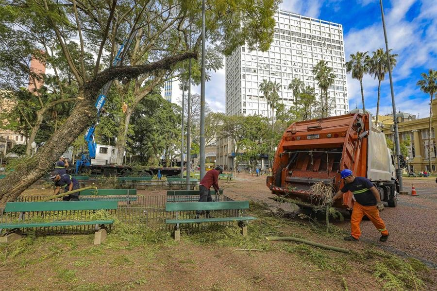 Durante o manejo de vegetais na Pra&ccedil;a da Alf&acirc;ndega, novas inspe&ccedil;&otilde;es identificaram a deteriora&ccedil;&atilde;o acelerada de uma pteroc&aacute;ria e de uma figueira ex&oacute;tica, que tamb&eacute;m precisaram ser removidas, al&eacute;m da necessidade de poda em mais um guapuruvu e cinco jacarand&aacute;s.