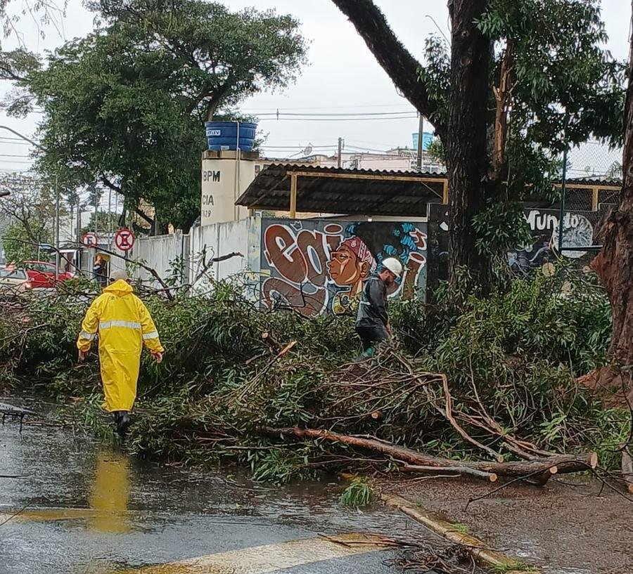 Equipes da Defesa Civil fizeram a entrega de lonas aos atingidos e realizaram a desobstru&ccedil;&atilde;o das vias