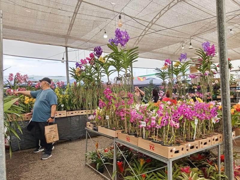 Local reunir&aacute; produtores de orqu&iacute;deas, pet&uacute;nias, rosas e outras esp&eacute;cies