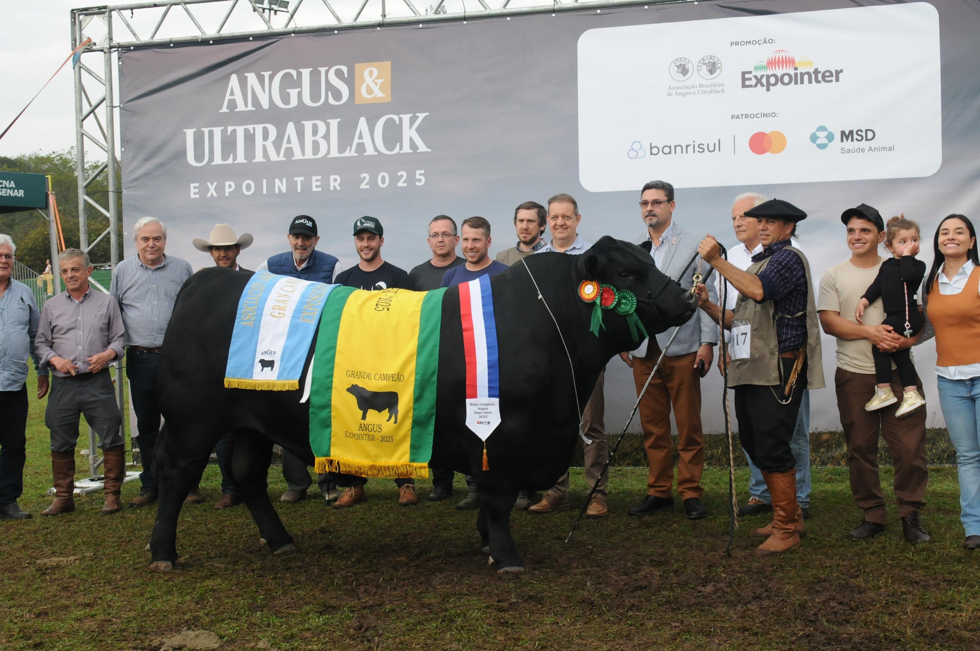 Na Expointer 2025 Touro Bortolozzo TE80 Bruce IA05 Architect foi Grande Campe&atilde;o da Angus