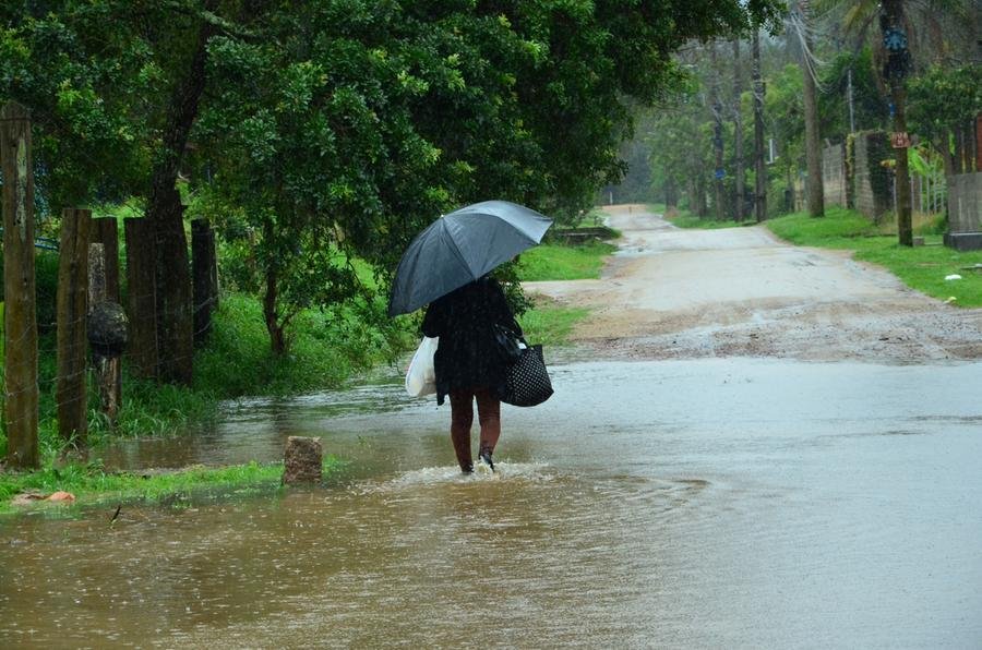 H&aacute; tamb&eacute;m alta probabilidade de temperaturas acima da m&eacute;dia na maior parte do Brasil no segundo semestre, que podem aumentar a ocorr&ecirc;ncia de ondas de calor e inc&ecirc;ndios florestais