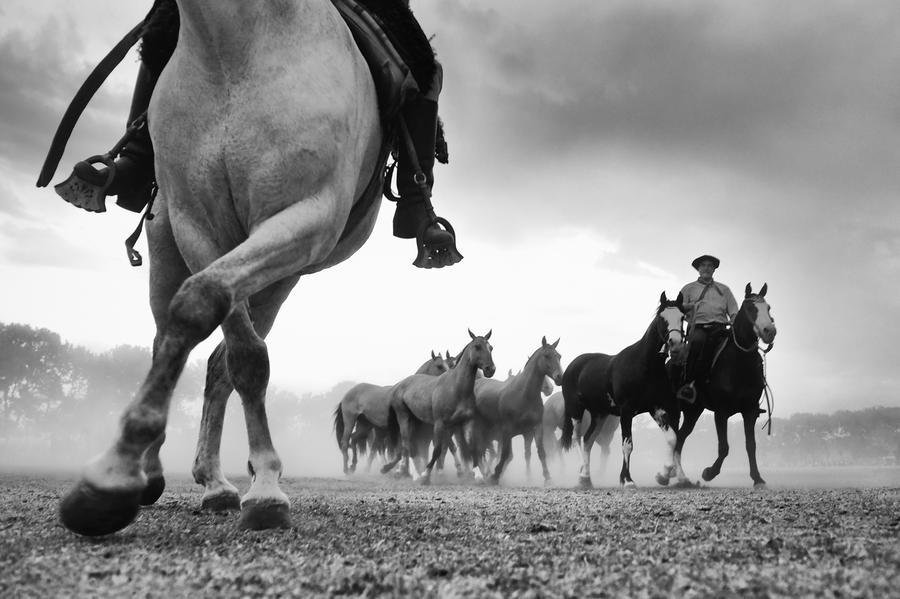 O livro "Tentos de Luz - um Olhar sobre a Alma do Pampa", do fotojornalista Tadeu Vilani, ser&aacute; lan&ccedil;ado segunda, 15,  19h, no Piquete Fronteira Seca, no  Parque Harmonia