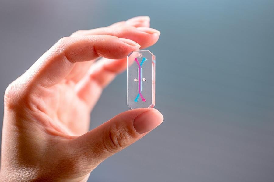 Dispositivos do tamanho de um pendrive possuem c&eacute;lulas vivas dos astronautas da miss&atilde;o