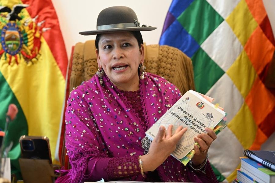 Senadora governista Virginia Velasco, promotora da reforma legal, celebrou a aprova&ccedil;&atilde;o