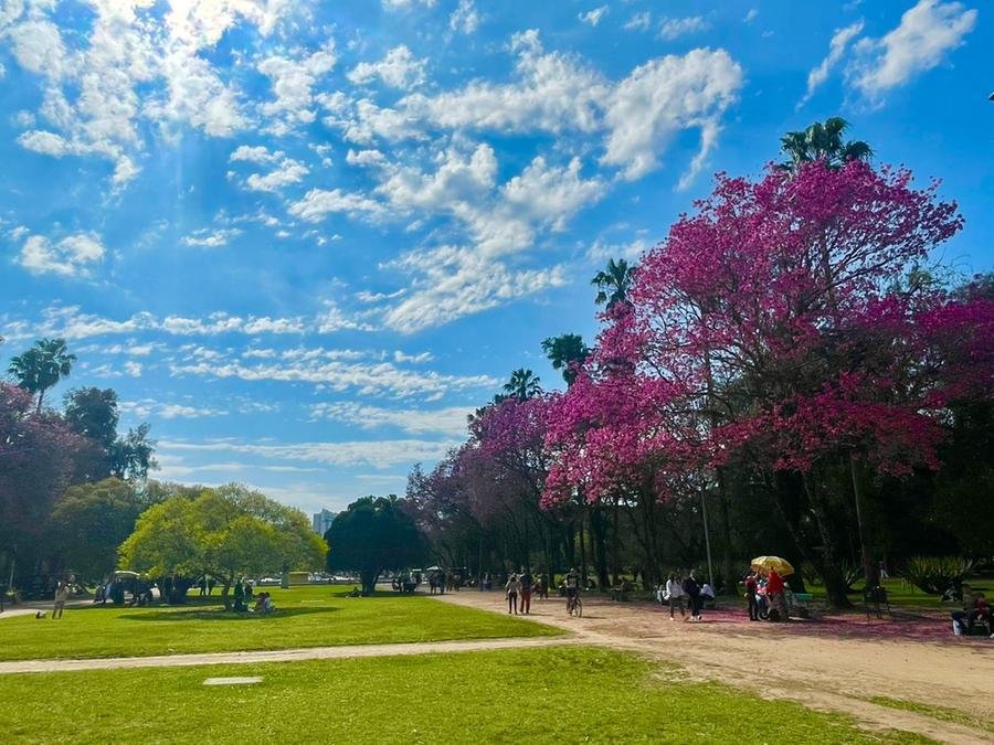 Sol predomina no territ&oacute;rio ga&uacute;cho nesta sexta-feira, mas em algumas localidades estar&aacute; acompanhado de nuvens