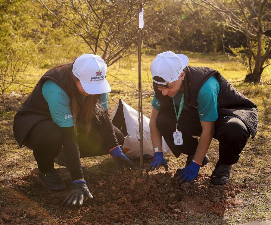 Projeto Educar para crescer oferece forma&ccedil;&otilde;es e oficinas educativas, beneficiando mais de 3 mil pessoas