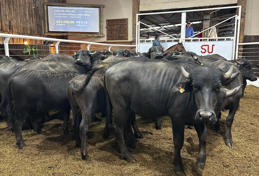 Evento dever&aacute; atrair compradores especializados e assim refletir em pre&ccedil;os melhores de mercado