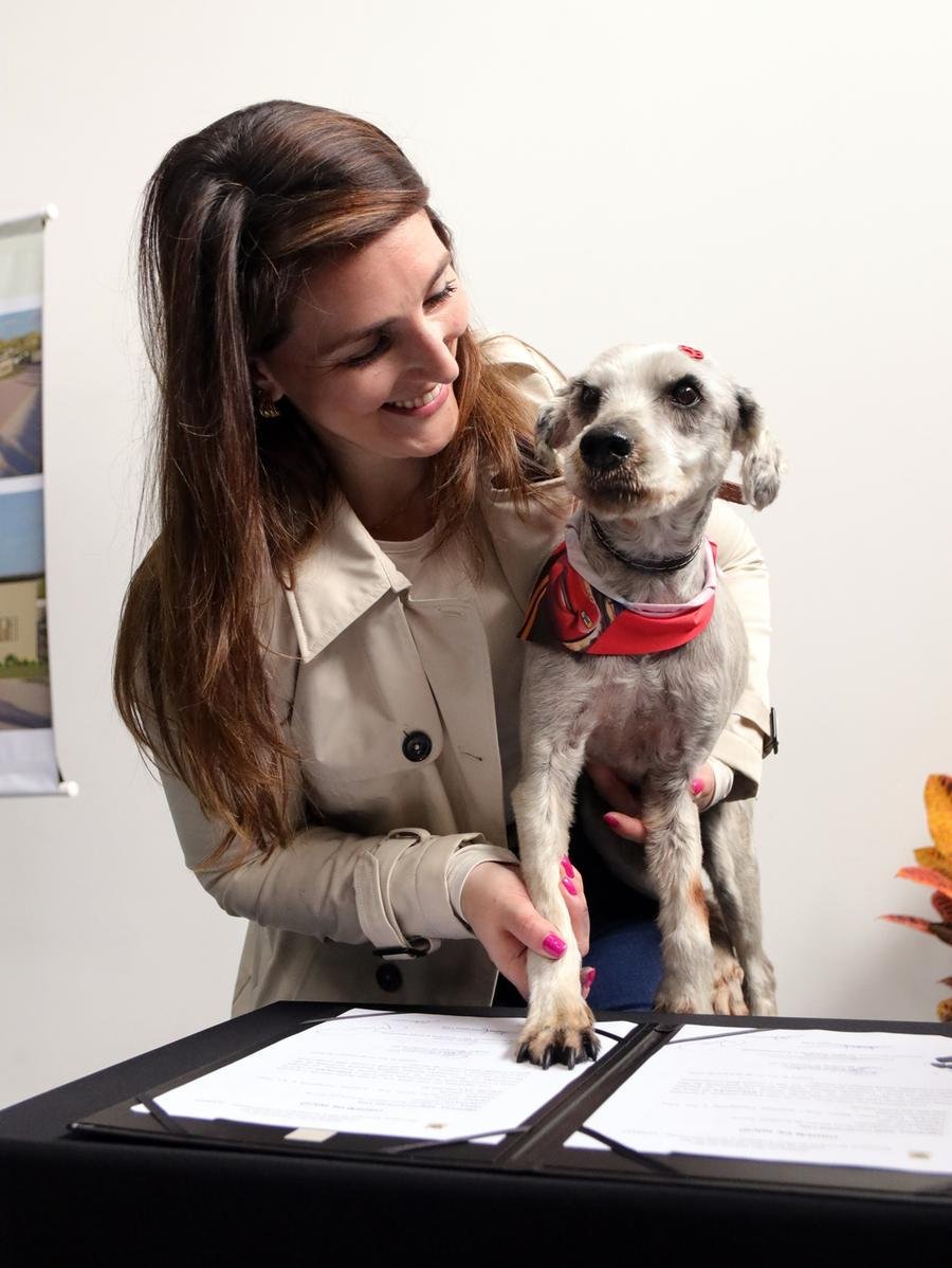 Cachorro Eliseu, pet que est&aacute; dispon&iacute;vel para ado&ccedil;&atilde;o no Departamento de Prote&ccedil;&atilde;o Animal, participou do ato