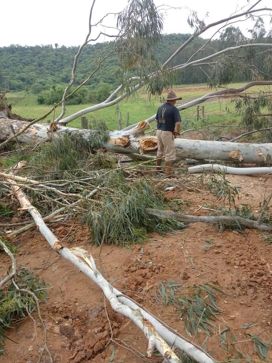 A Defesa Civil reportou a queda de 20 &aacute;rvores ao longo de estradas do interior e granizo mi&uacute;do