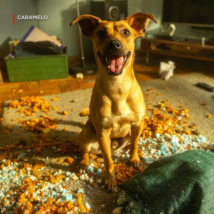 Caramelo faz sucesso na Netflix