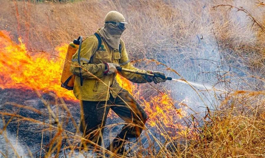 Na primeira frente de inc&ecirc;ndios, iniciada em 28 de janeiro, a &aacute;rea total atingida supera os 112 mil hectares