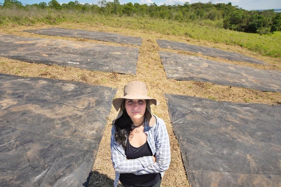 Trabalho de Lua Dallagnol Cezimbra est&aacute; detalhado em artigo da revista cient&iacute;fica Restoration Ecology
