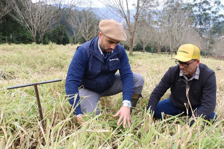 O programa &eacute; coordenado pela Secretaria de Desenvolvimento Rural e executado pela Emater/RS-Ascar