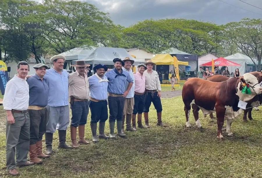 47&ordf; Expofeira de Itaqui e Ma&ccedil;ambar&aacute; coroou os melhores exemplares das ra&ccedil;as Hereford e Braford em julgamento da Associa&ccedil;&atilde;o Brasileira de Hereford e Braford