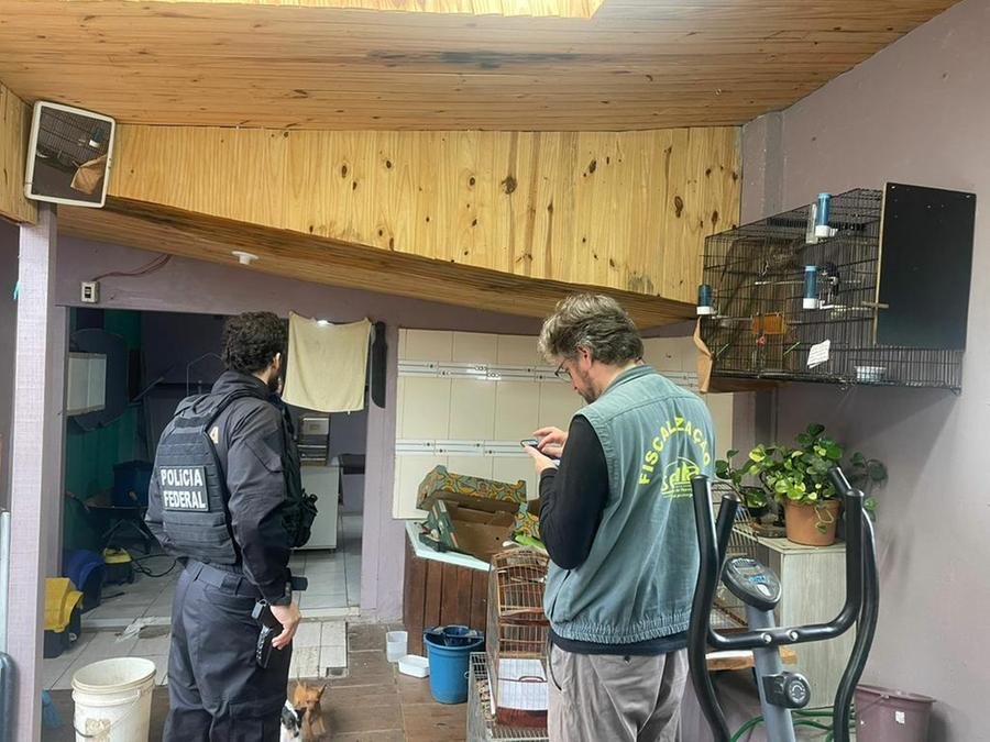 Opera&ccedil;&atilde;o Libertas no Rio Grande do Sul apreendeu 24 aves silvestres mantidas ilegalmente em cativeiro e prendeu um homem