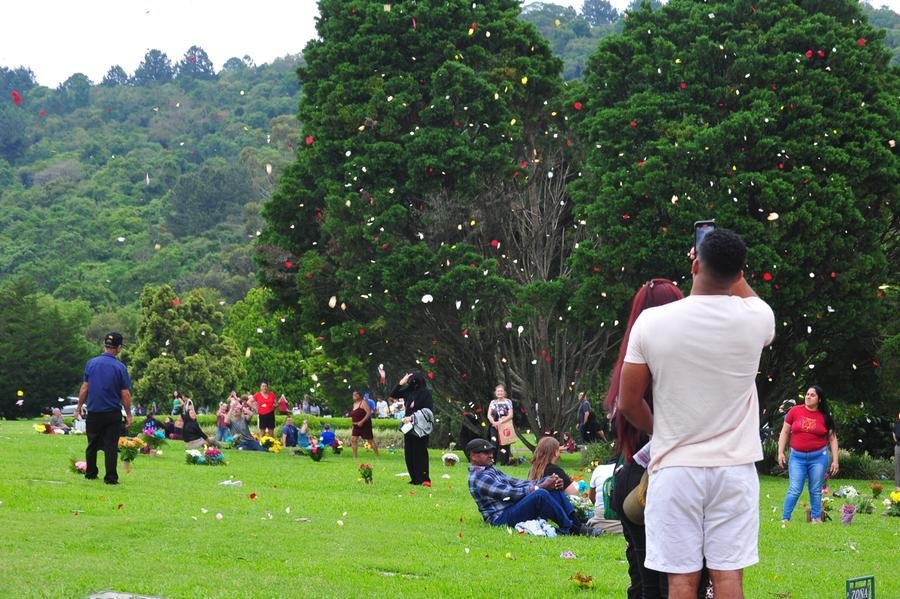 Chuva de p&eacute;talas de rosas emocionou visitantes no Cemit&eacute;rio Parque Jardim da Paz