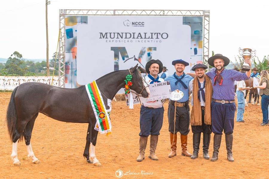 O Melhor Exemplar Maior do 1&ordm; Mundialito foi a potranca pica&ccedil;a Santa Br&iacute;gida Tinajera (BOX 74), da Cabanha Santa Br&iacute;gida, de Santana do Livramento (RS), tamb&eacute;m Grande Campe&atilde; Incentivo Maior