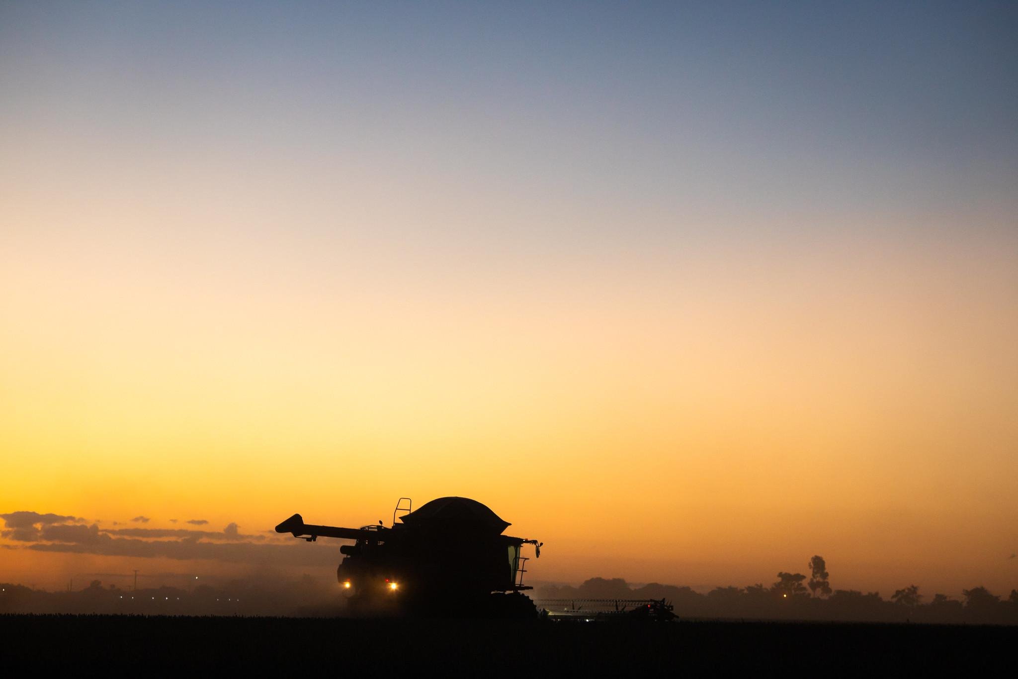 Em n&iacute;vel nacional, a estimativa &eacute; de 353,1 milh&otilde;es de toneladas, em uma &aacute;rea prevista de 83,9 milh&otilde;es de hectares, ou 987,5 mil toneladas a mais e 2,1 milh&otilde;es de hectares superior &agrave; safra 2024/25