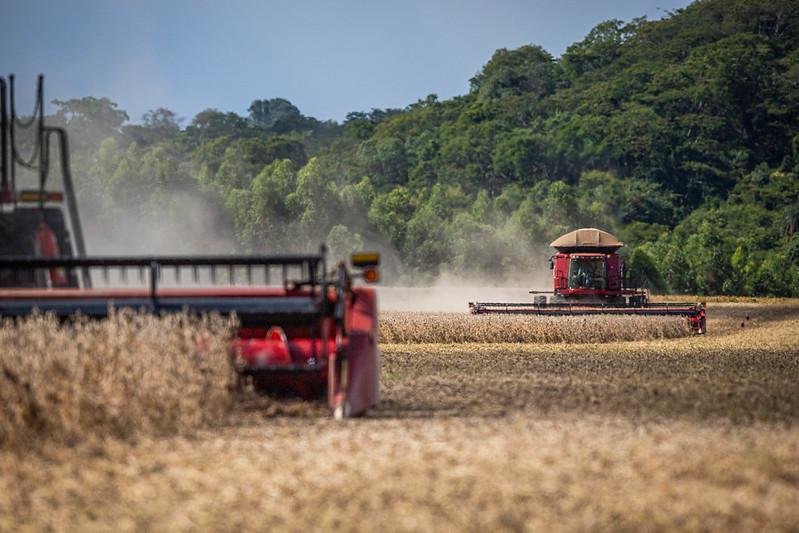 A soja em gr&atilde;os manteve-se isolada como o produto que &eacute; l&iacute;der das exporta&ccedil;&otilde;es do pa&iacute;s