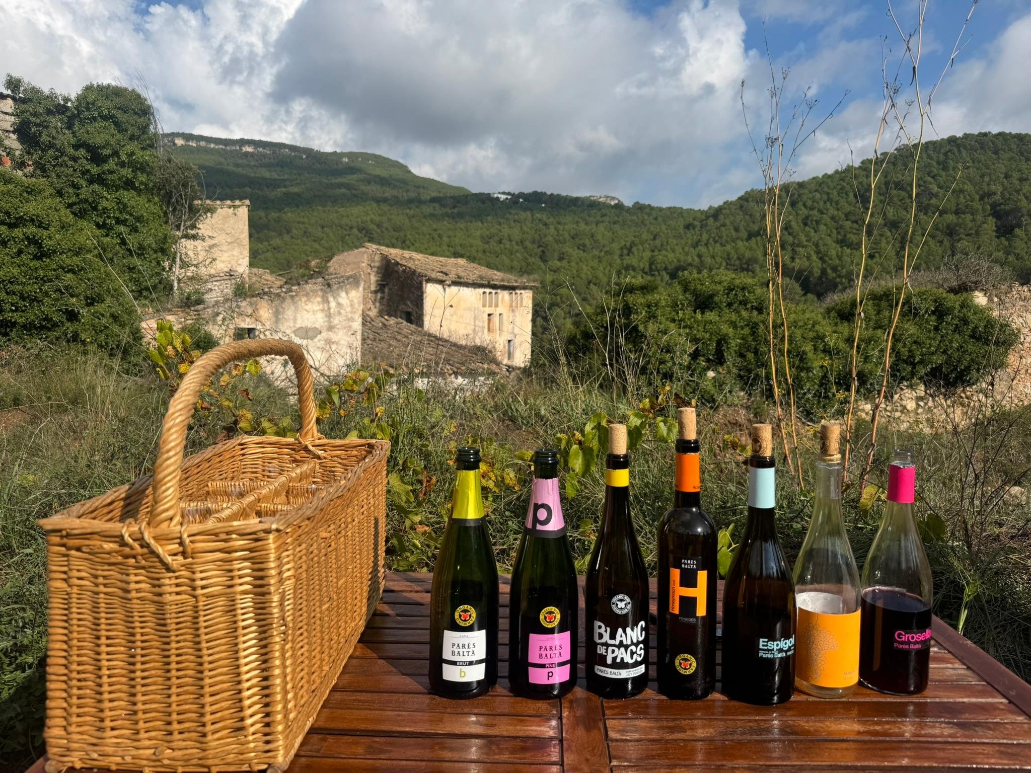 R&oacute;tulos da vin&iacute;cola Par&eacute;s Balt&agrave;: vinhos brancos expressam diferentes solos, altitudes e castas