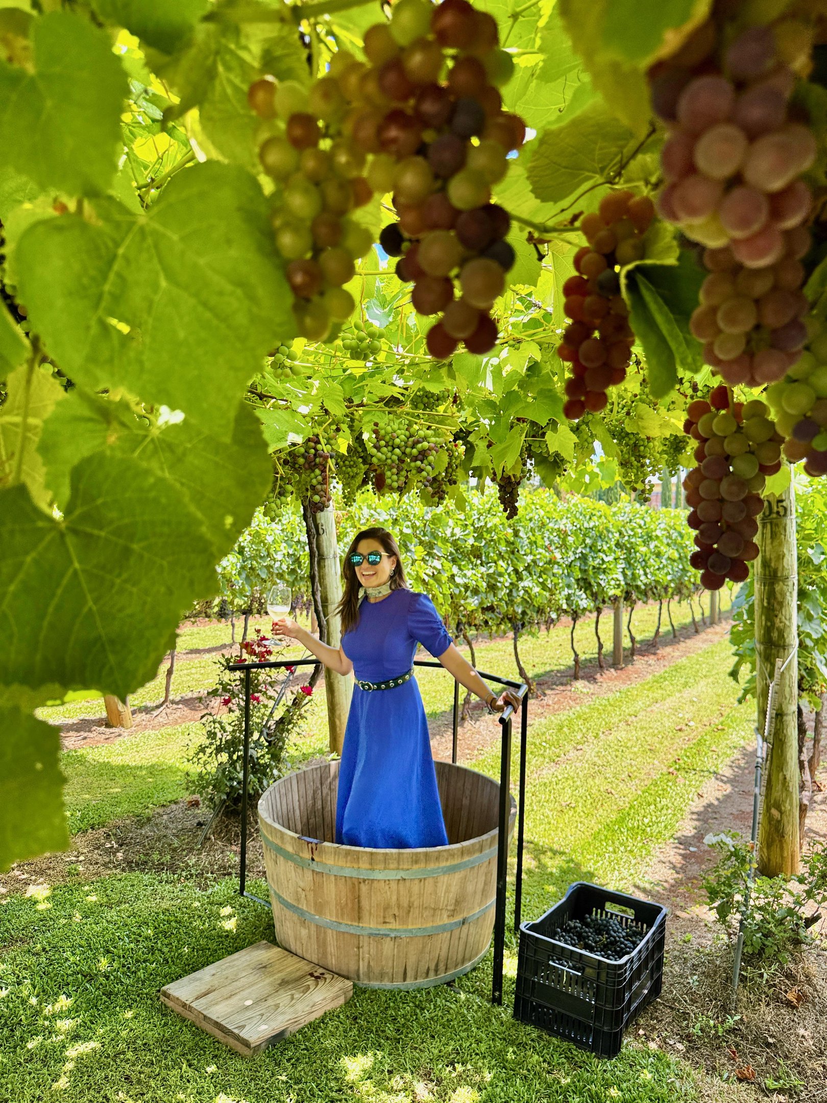 O Tour Vindima inclui a tradicional pisa das uvas