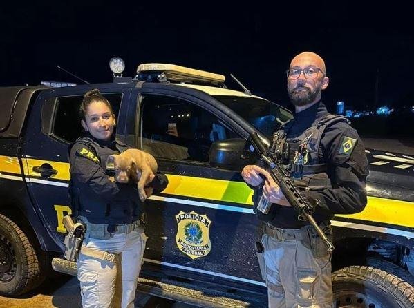 Policiais rodovi&aacute;rios federais recolhem filhote de cachorro nas estradas ga&uacute;chas
