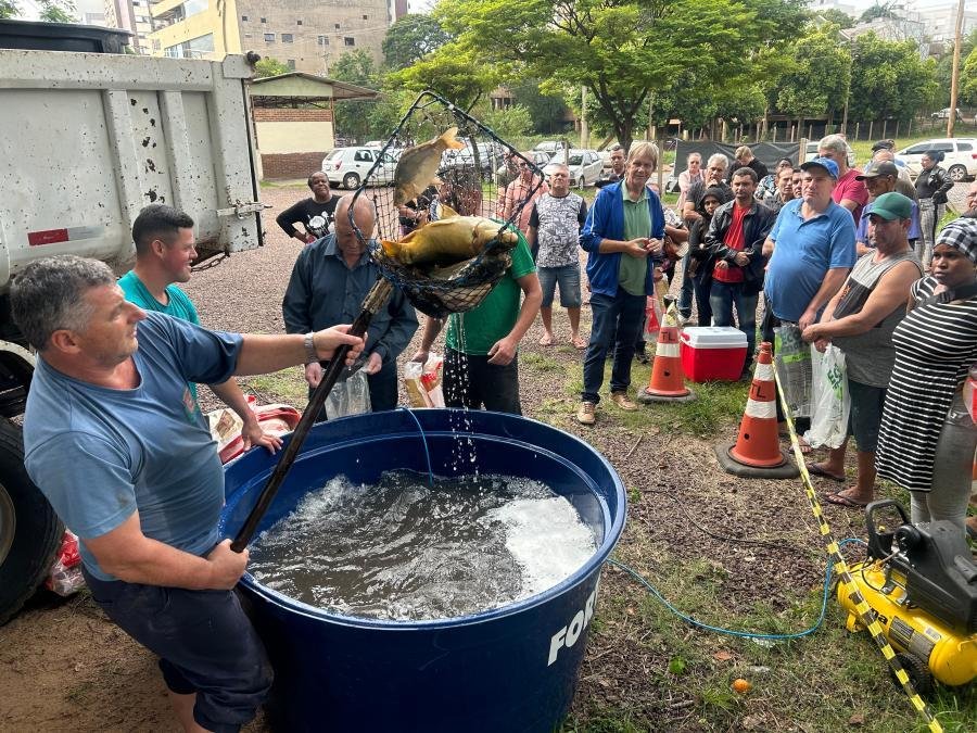 Consumidor tem a oportunidade de escolher um peixe vivo em um tanque para levar para casa