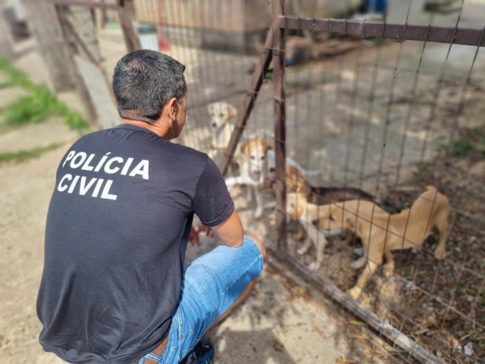 Policiais atuam em ocorr&ecirc;ncias de poss&iacute;veis maus-tratos a animais na Capital e interior do Estado