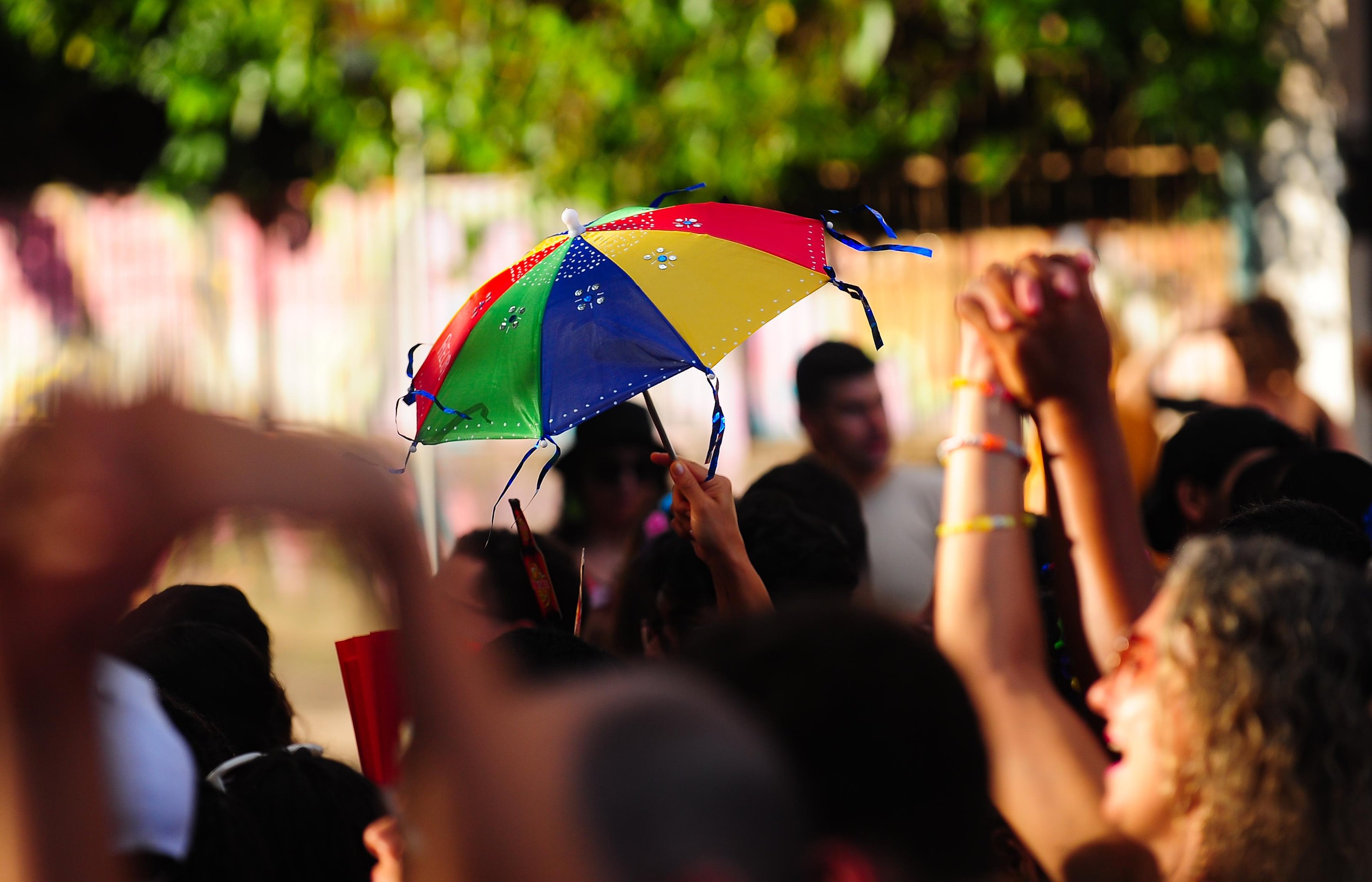 A estimativa &eacute; que mais de 65 milh&otilde;es de pessoas participaram da festa pelo Brasil
