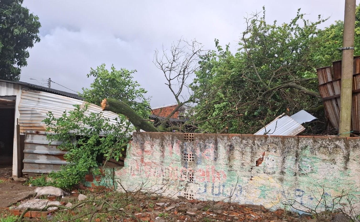 Tamb&eacute;m no bairro Novo Esteio foi registrado um destelhamento em uma casa