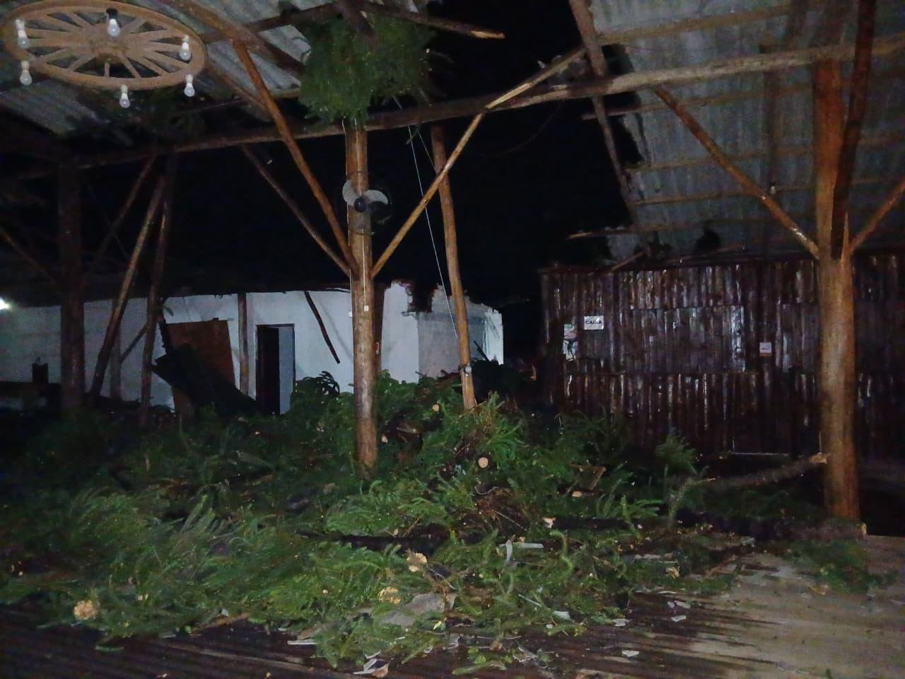 Pinheiro de grande porte caiu sobre o telhado do CTG Vento Minuano, no bairro Ouro Preto, em Carazinho