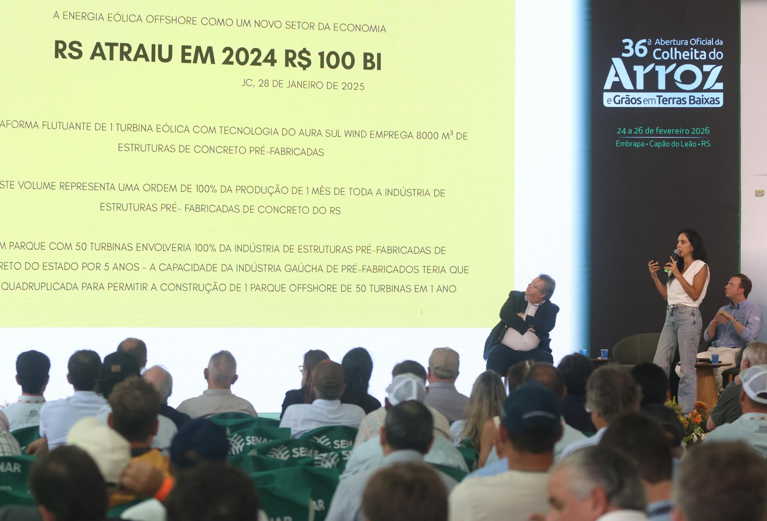 Daniela Cardeal disse que o RS tem condi&ccedil;&otilde;es de exportar energia