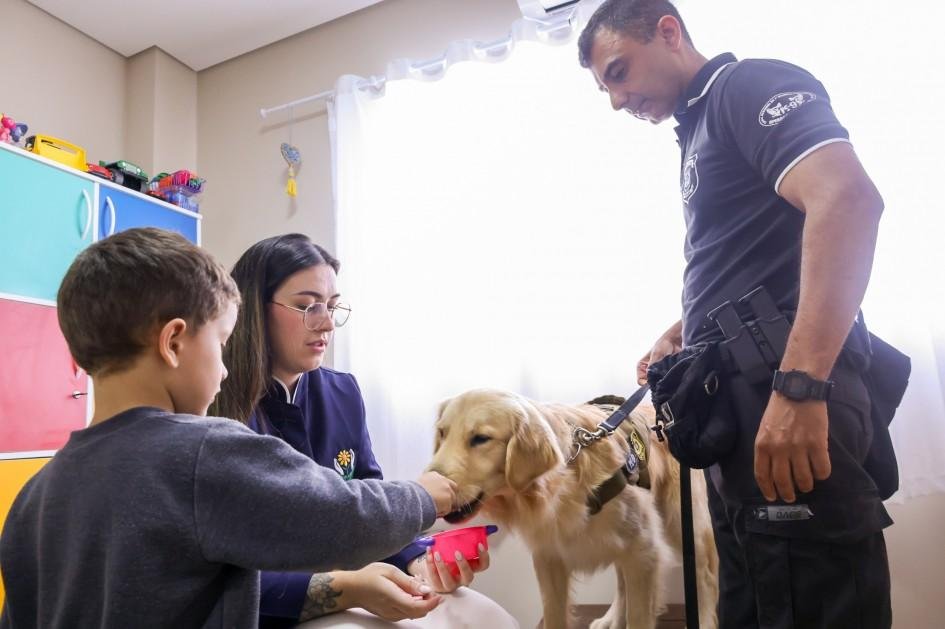 Golden Retriever Stark apresenta facilidade para lidar com diferentes ambientes, pessoas e situa&ccedil;&otilde;es