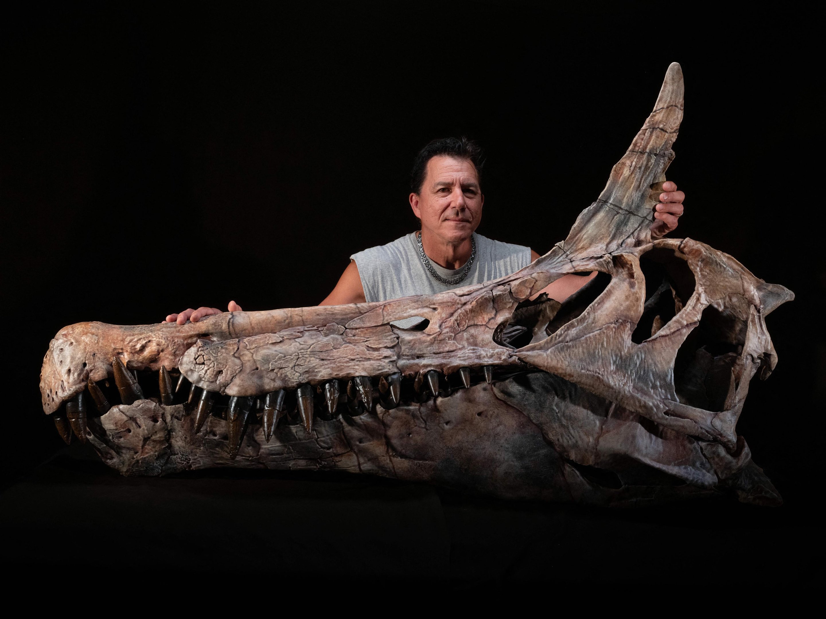"Spinosaurus mirabilis" &eacute; um gigante b&iacute;pede de cerca de 12 metros de comprimento