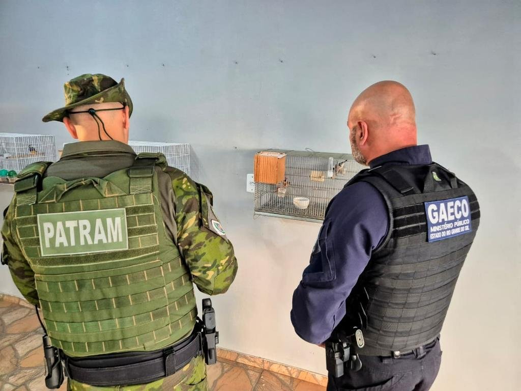 No Rio Grande do Sul, os mandados foram cumpridos em Pelotas e Glorinha, com apoio da Brigada Militar