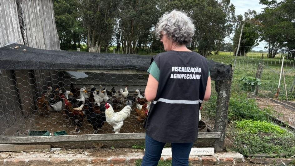 Servi&ccedil;o de Vigil&acirc;ncia Sanit&aacute;ria Animal est&aacute; realizando o trabalho