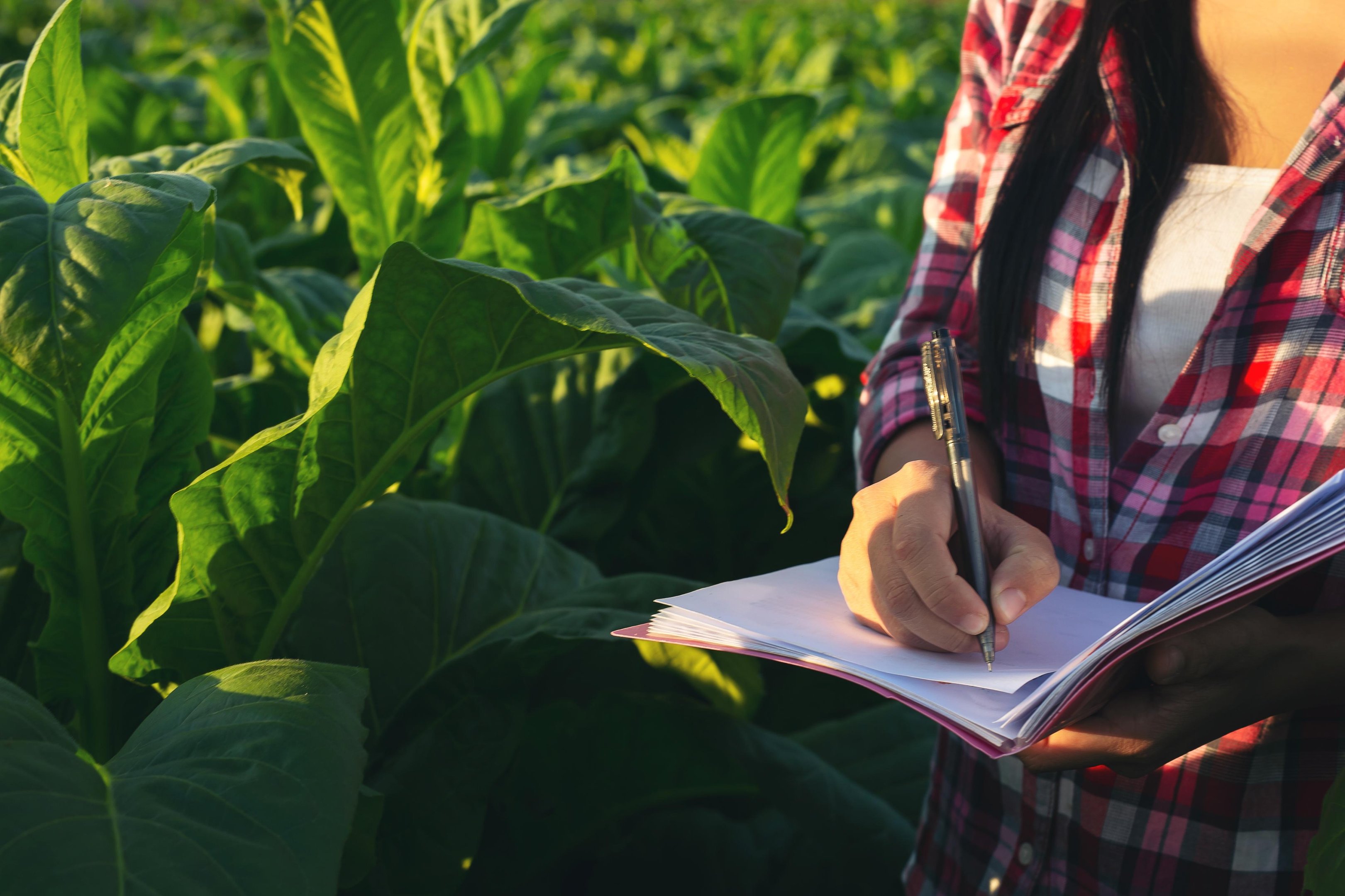 Pesquisa H&aacute;bitos do Produtor Rural foi realizada pela ABMRA