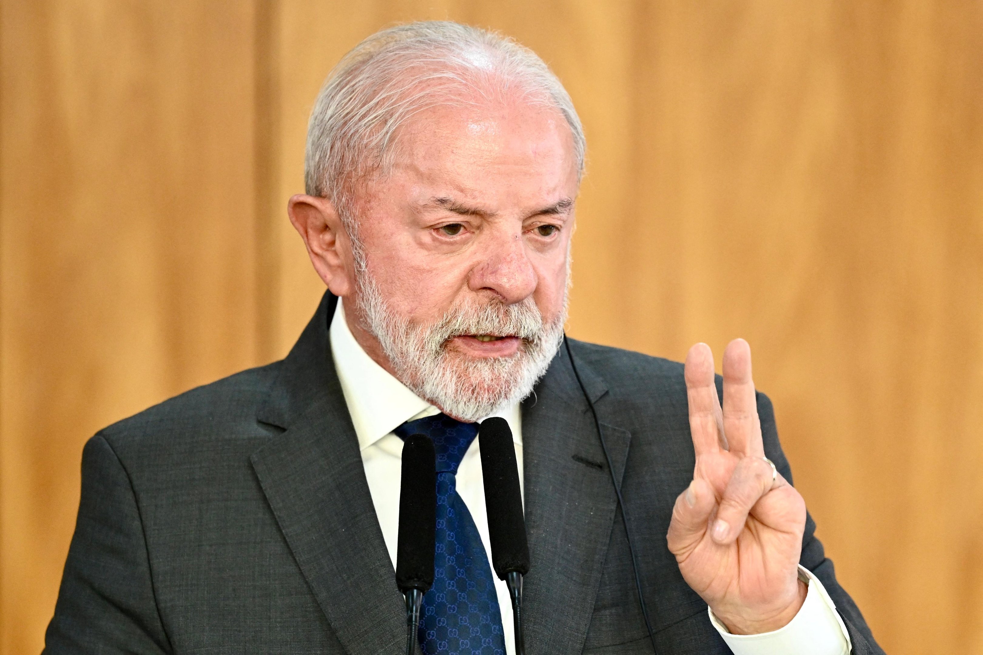 Em discurso, Lula destacou ainda a mobiliza&ccedil;&atilde;o da sociedade civil para pressionar pela aprova&ccedil;&atilde;o da lei no Congresso