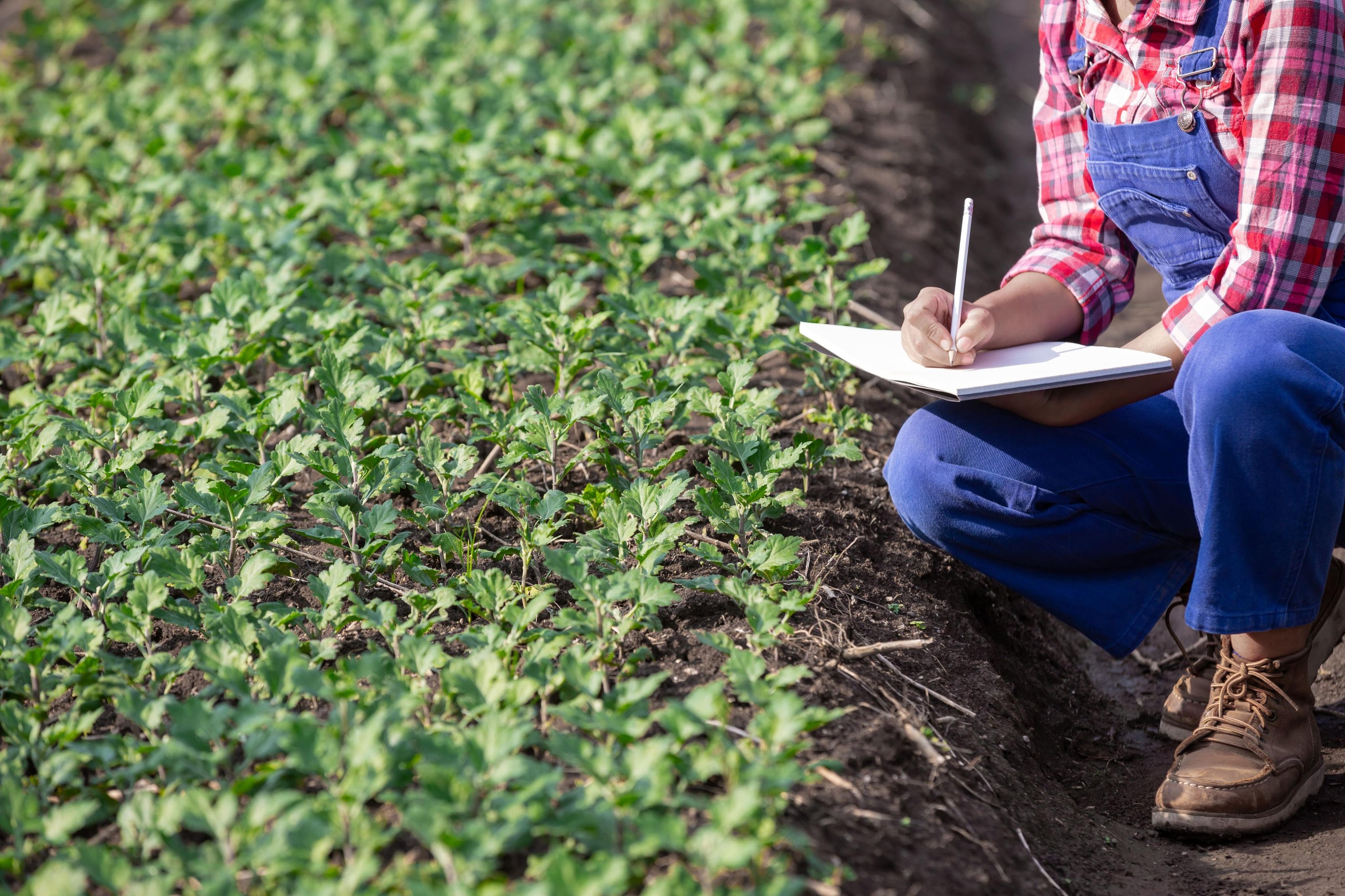 O grande destaque positivo do per&iacute;odo foi o desempenho das C&eacute;dulas de Produto Rural (CPR)