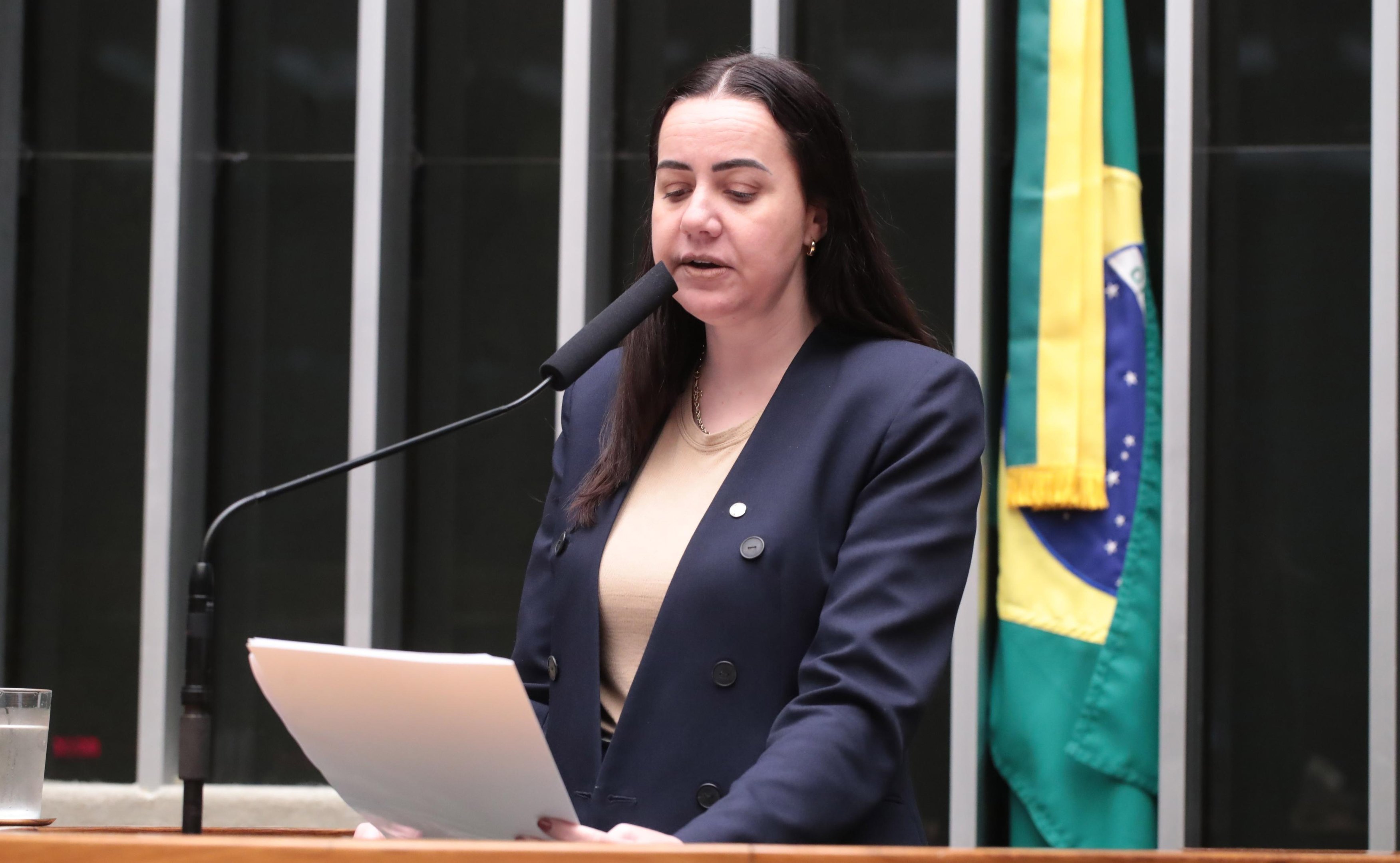 Projeto foi aprovado com substitutivo da relatora, deputada Franciane Bayer (Republicanos-RS)