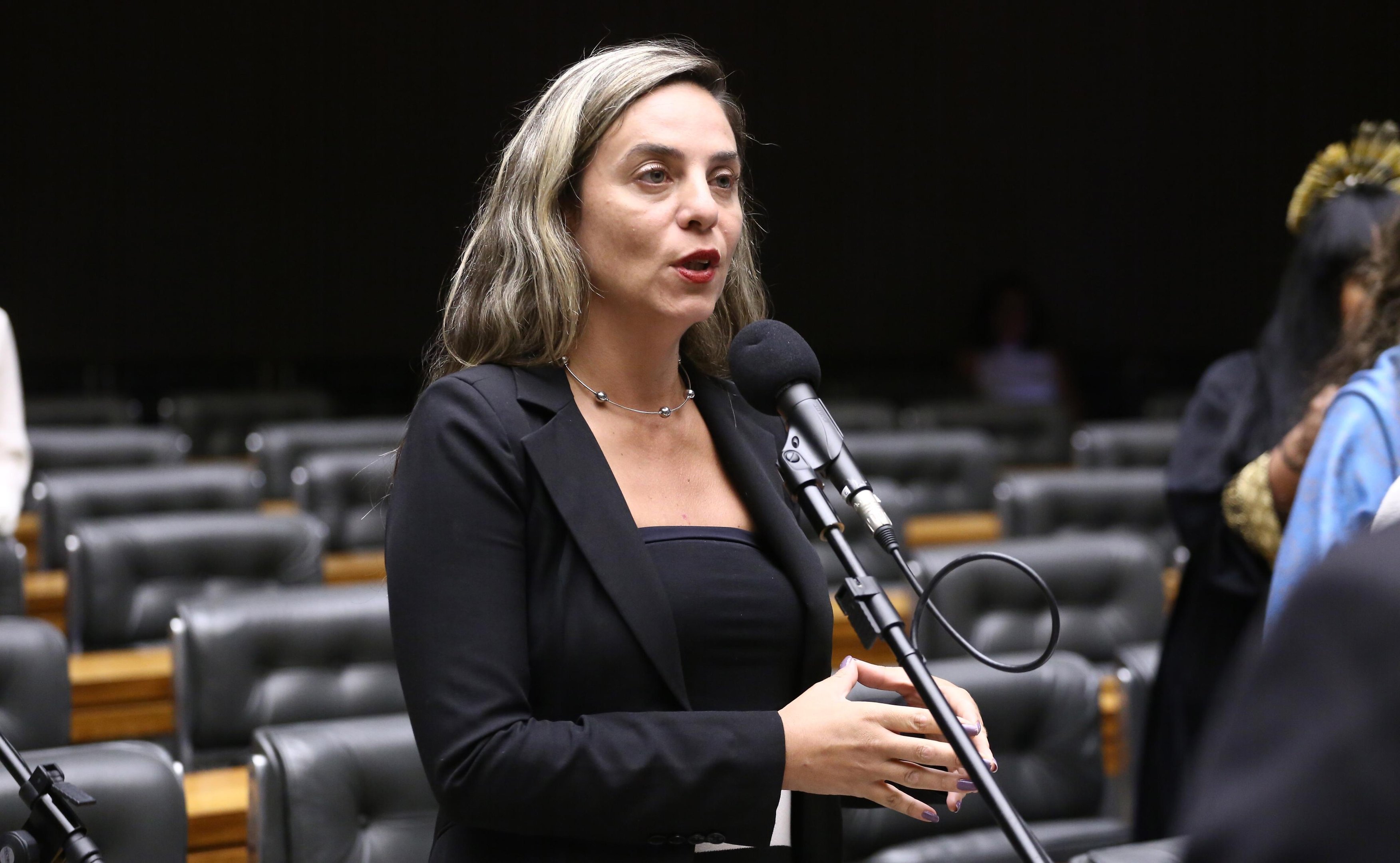 Texto &eacute; de autoria dos deputados Marcos Tavares (PDT-RJ) e Fernanda Melchionna (Psol-RS) (foto)