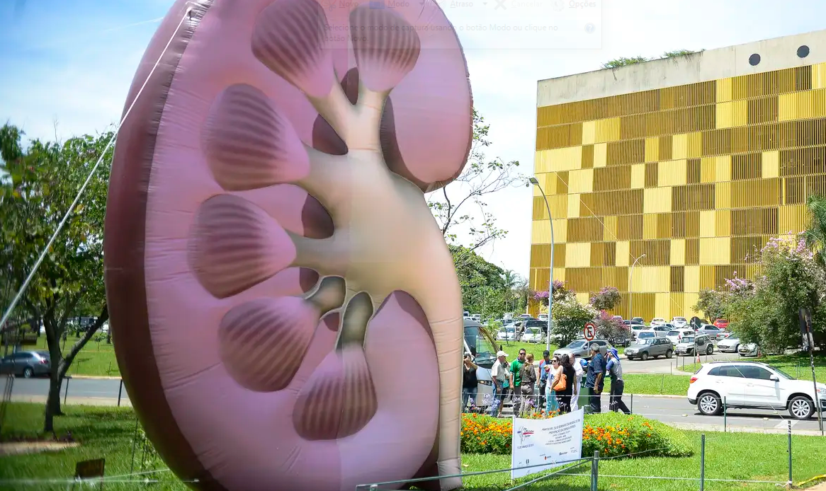 A doen&ccedil;a renal cr&ocirc;nica (DRC) passou a figurar entre as chamadas doen&ccedil;as cr&ocirc;nicas n&atilde;o transmiss&iacute;veis priorit&aacute;rias